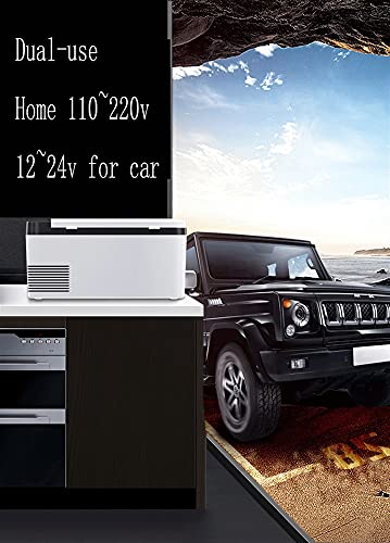 Mini refrigerador portátil para coche, 12/24 V, compresor, 12/24 V CC, 110-240 V CA, ideal para uso familiar al aire libre (color: A, tamaño: 24 V, 110 V, 220 V)